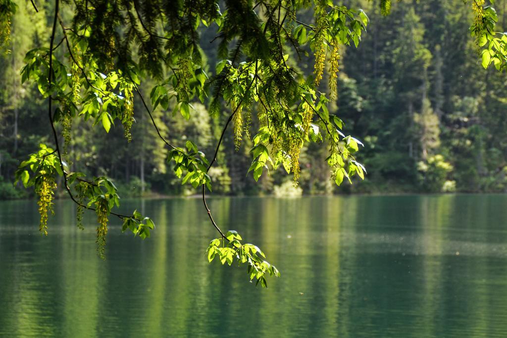 Antica Residenza De Poda Flavon Buitenkant foto
